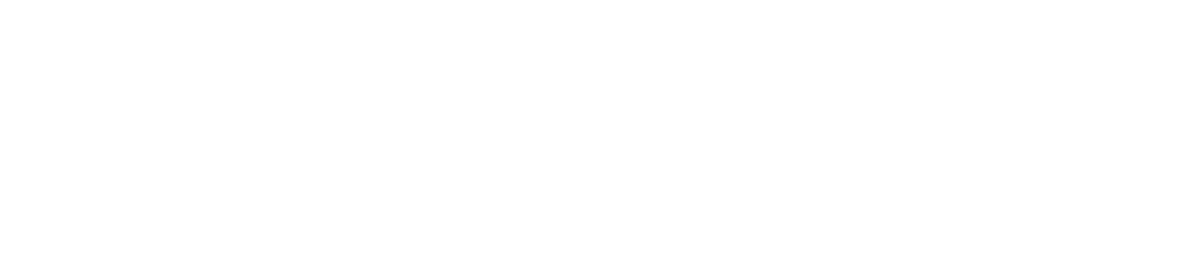 Shenandoah-Valley-Airport-logo-white