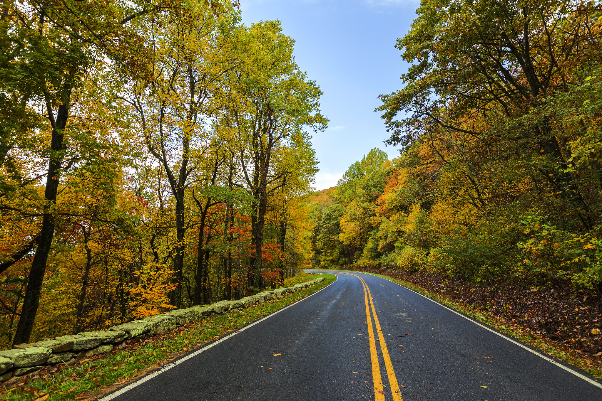 Along-for-the-Skyline-Drive_FALL-SNP